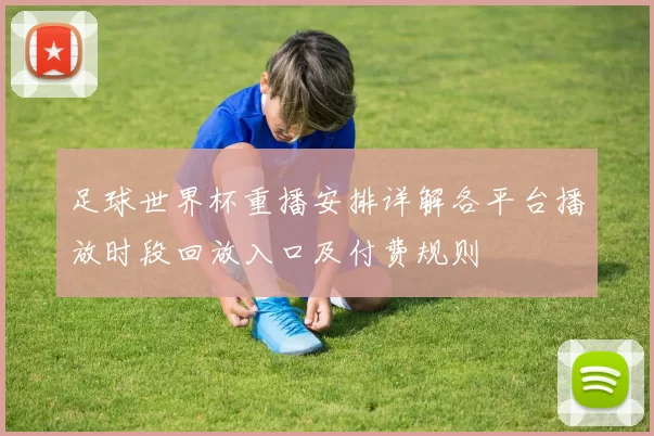 足球世界杯重播安排详解各平台播放时段回放入口及付费规则