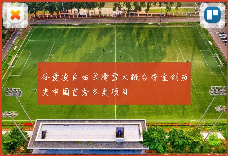 谷爱凌自由式滑雪大跳台夺金创历史中国首秀冬奥项目