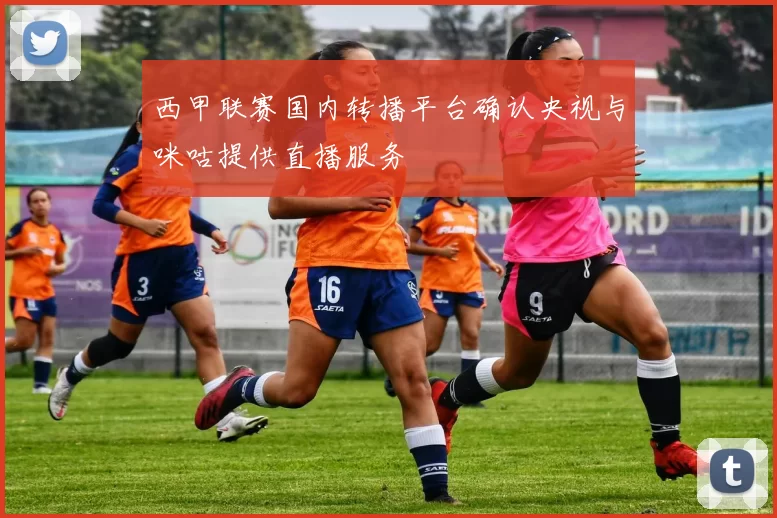 西甲联赛国内转播平台确认央视与咪咕提供直播服务