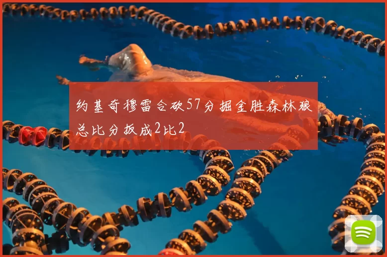 约基奇穆雷合砍57分掘金胜森林狼总比分扳成2比2