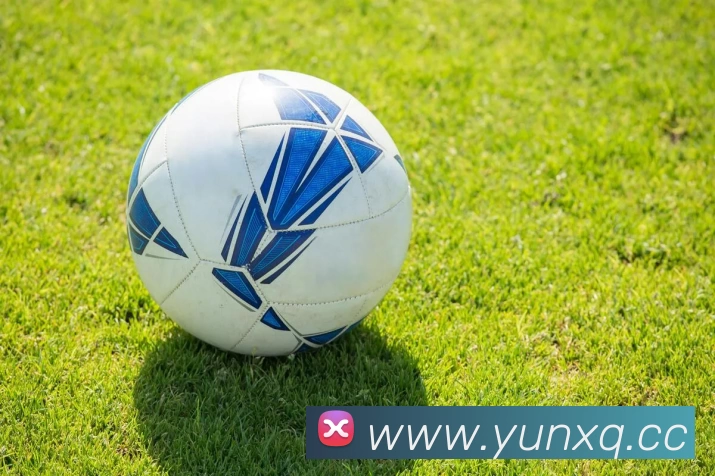 乐鱼网页版登录入口 - 乐鱼(中国)发展历程